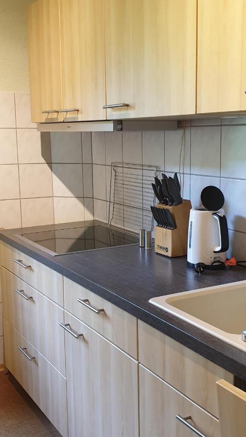 Ferienwohnung An Der Begerburg Dresden Eksteriør bilde